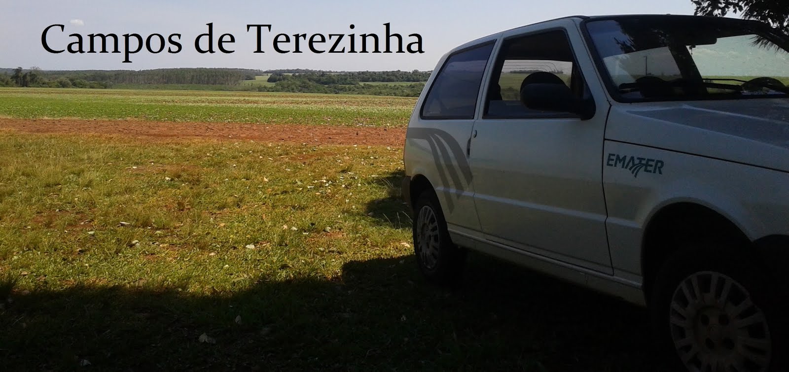 Campos de Terezinha