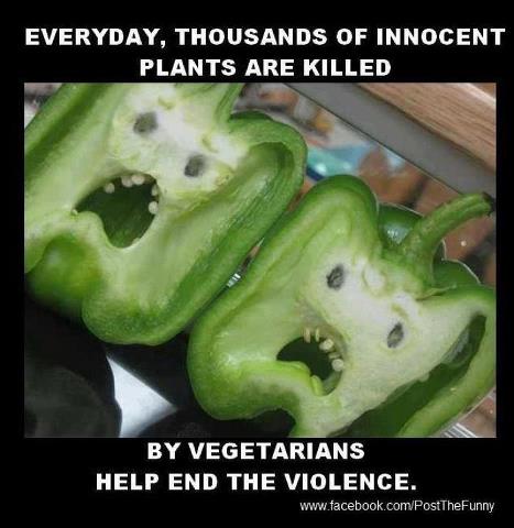 vegetarian jokes