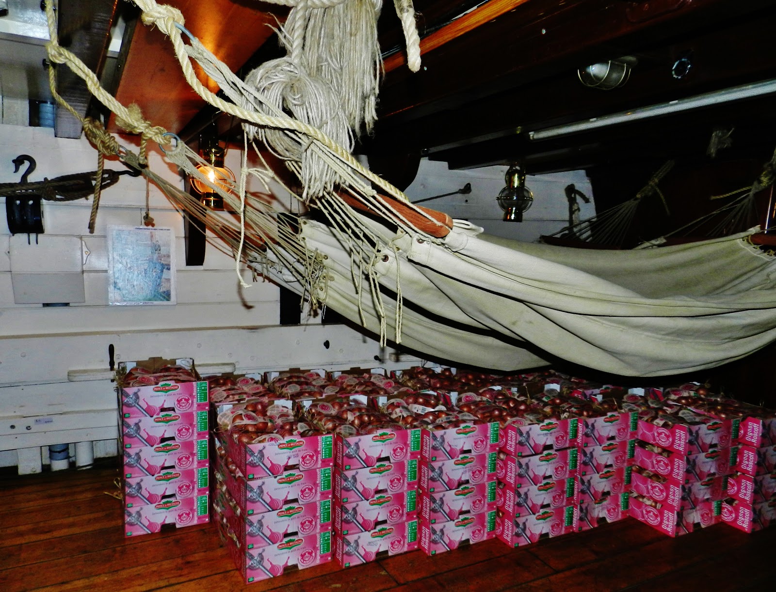 Looking for Johnny Onions