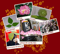 peopel also offer lotus, dhatura, bel-leaves, aakamda flower to mahadev