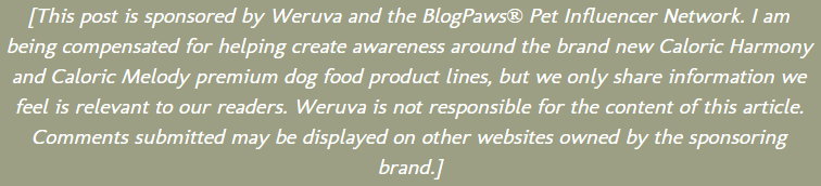 weruva caloric harmony