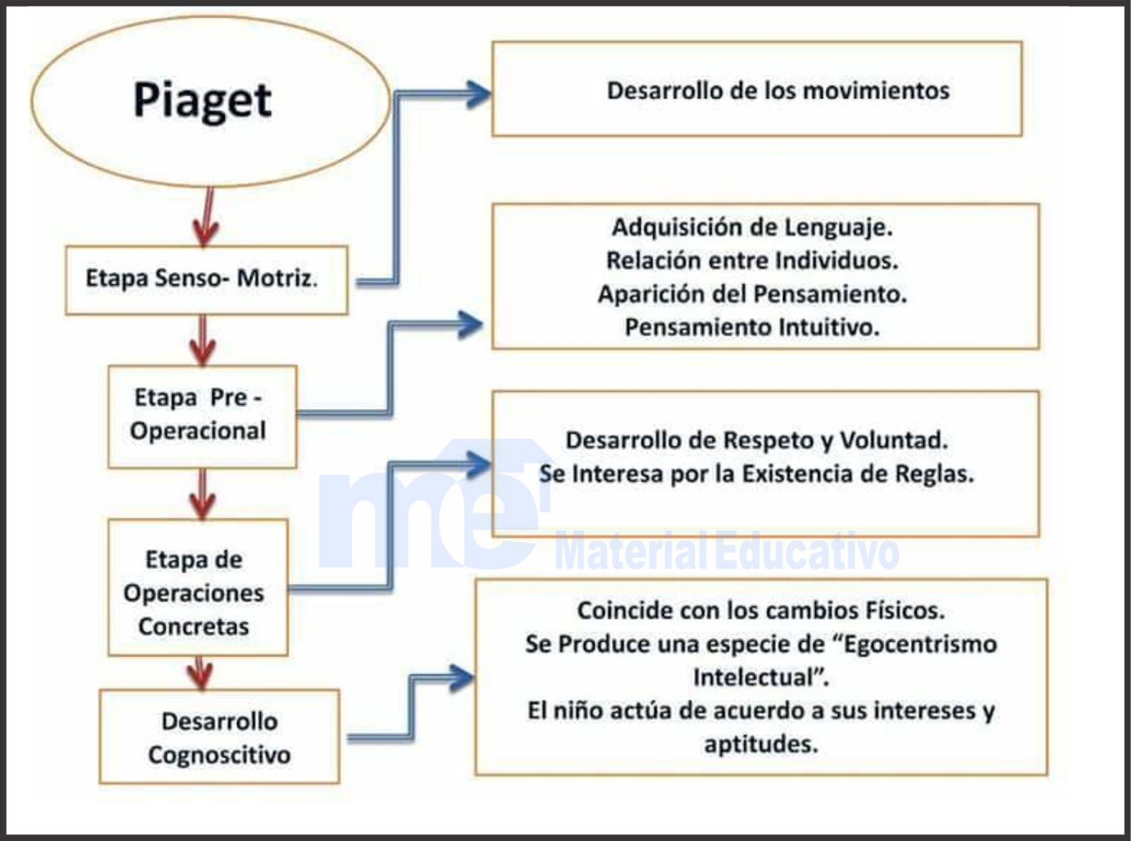 Piaget Etapas De Desarrollo Cognitivo 0429