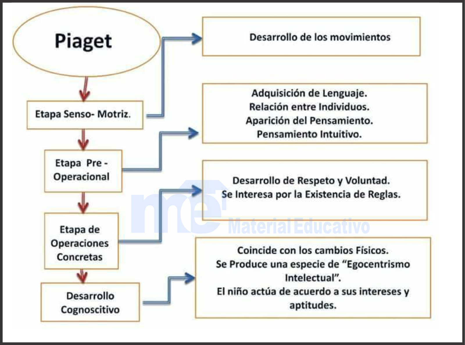 Las 4 Etapas De Piaget