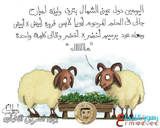 6268rmoozz