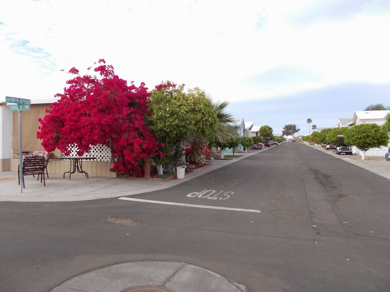 Tarra's Travels Yuma, Arizona