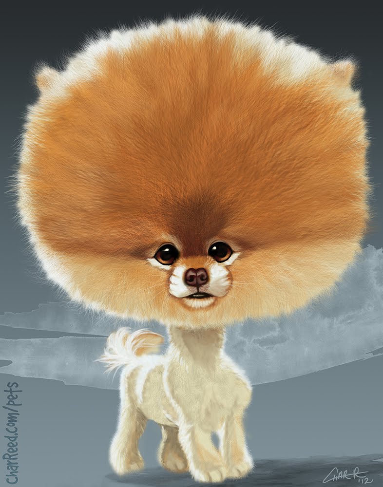 Cutest Dog Breed In The World Dog Training Home Dog Types