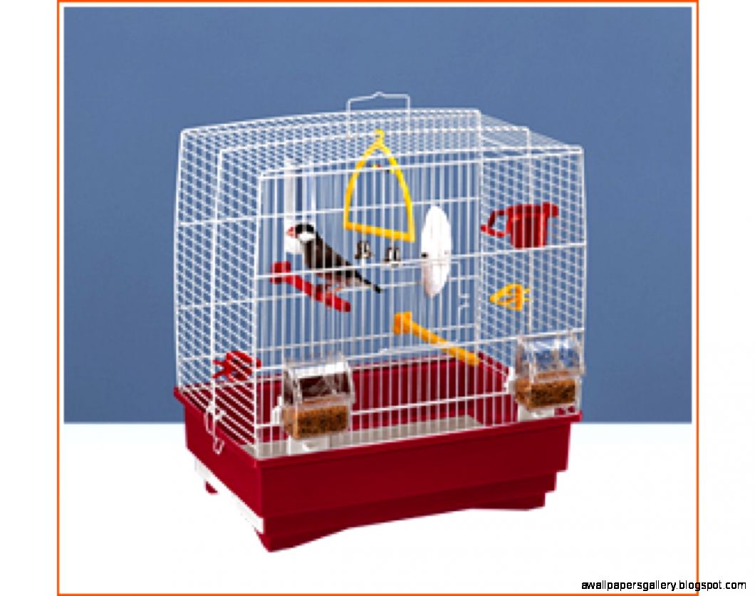 Pet Birds Cages