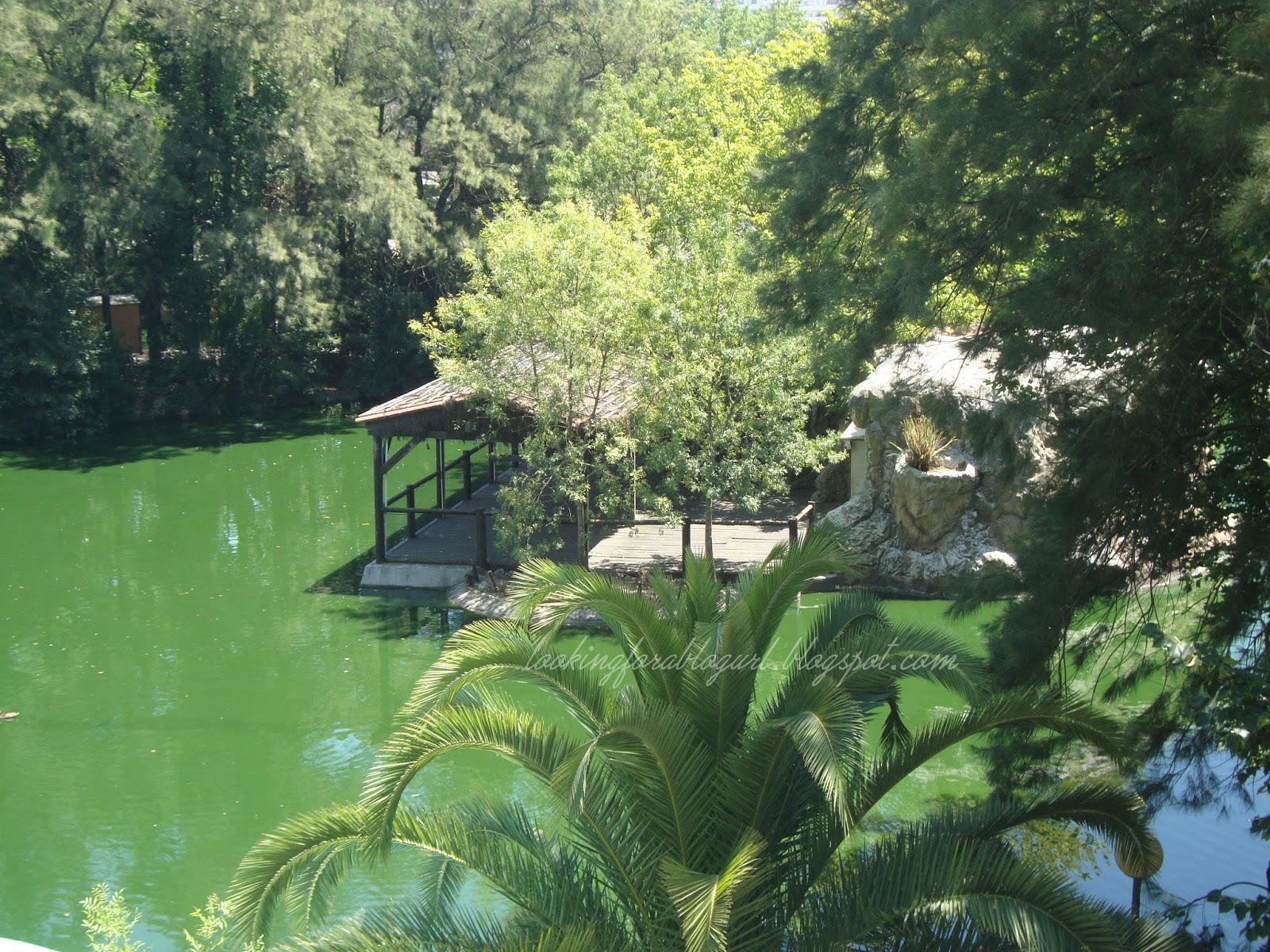 Jardim Zoológico de Lisboa parte III Insight