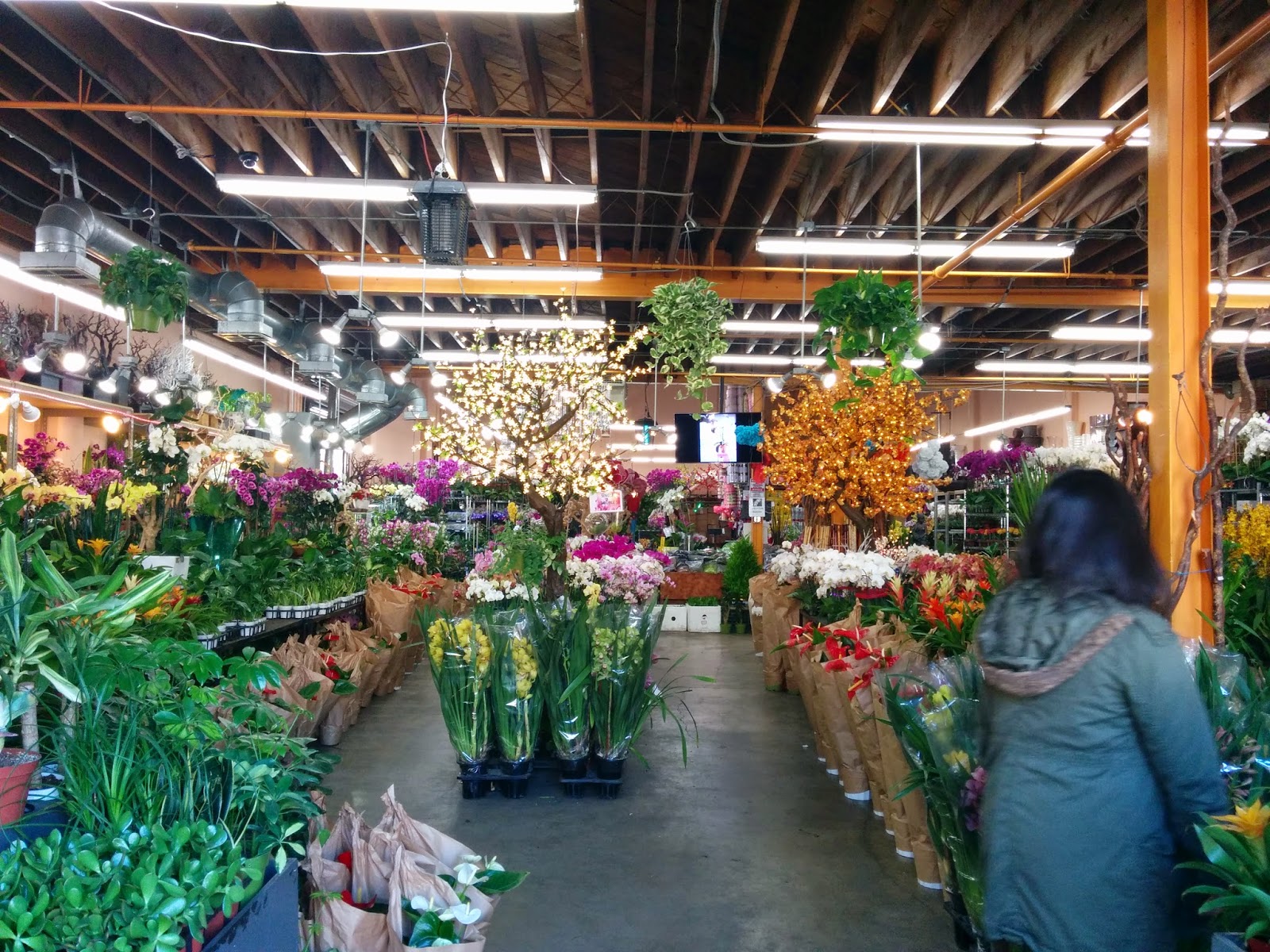 powchau Thursday, February 5, 2015 Flower District, Los Angeles, CA
