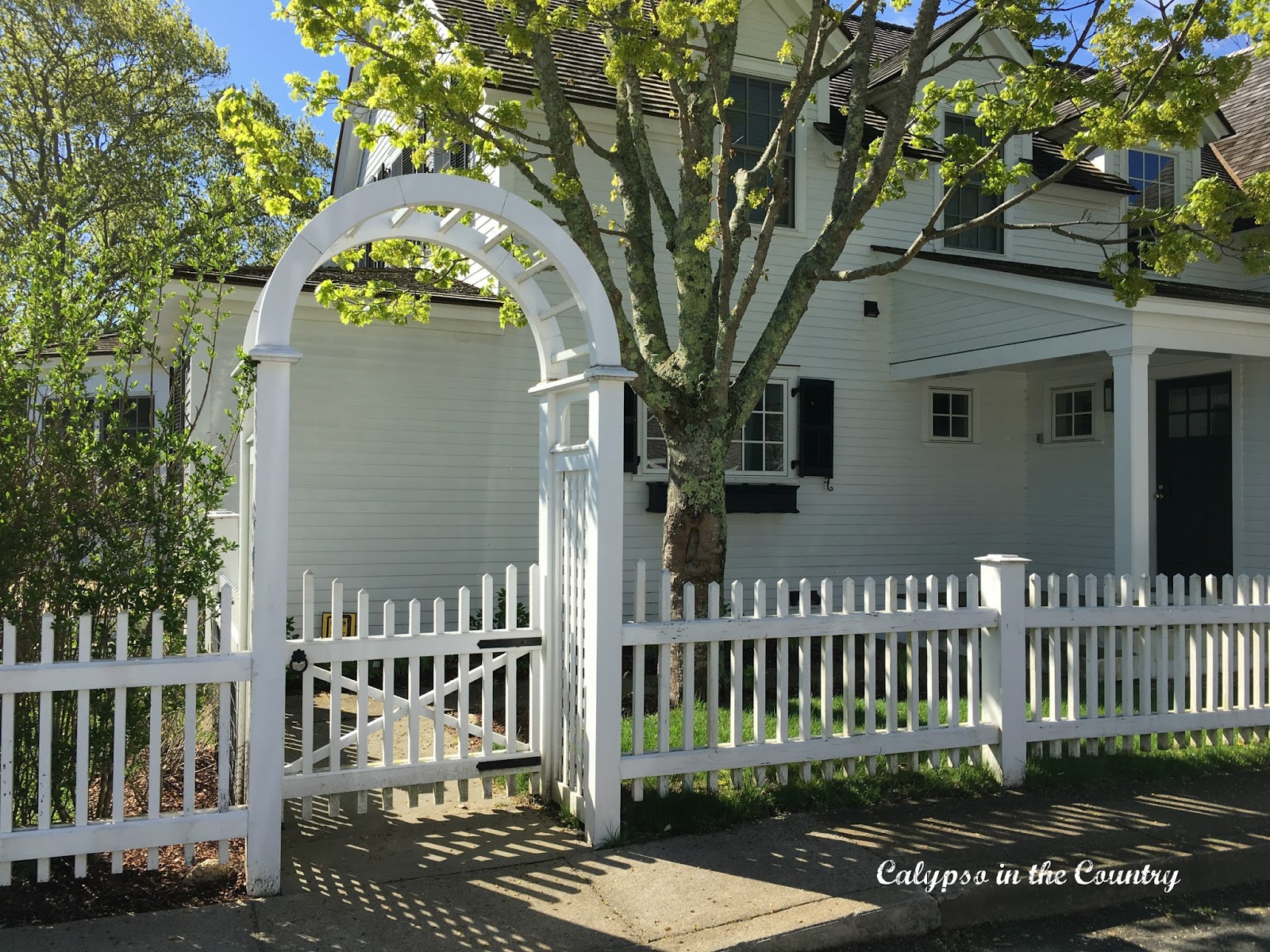 Beautiful archway and fence in Martha's Vineyard
