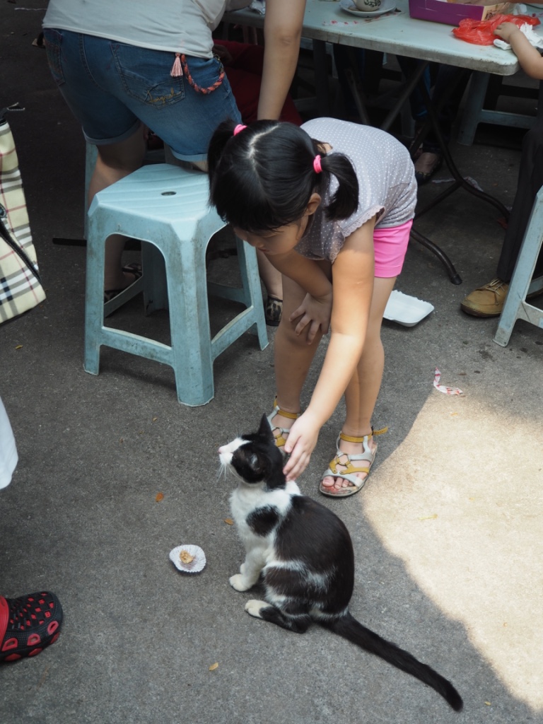 girl petting cat