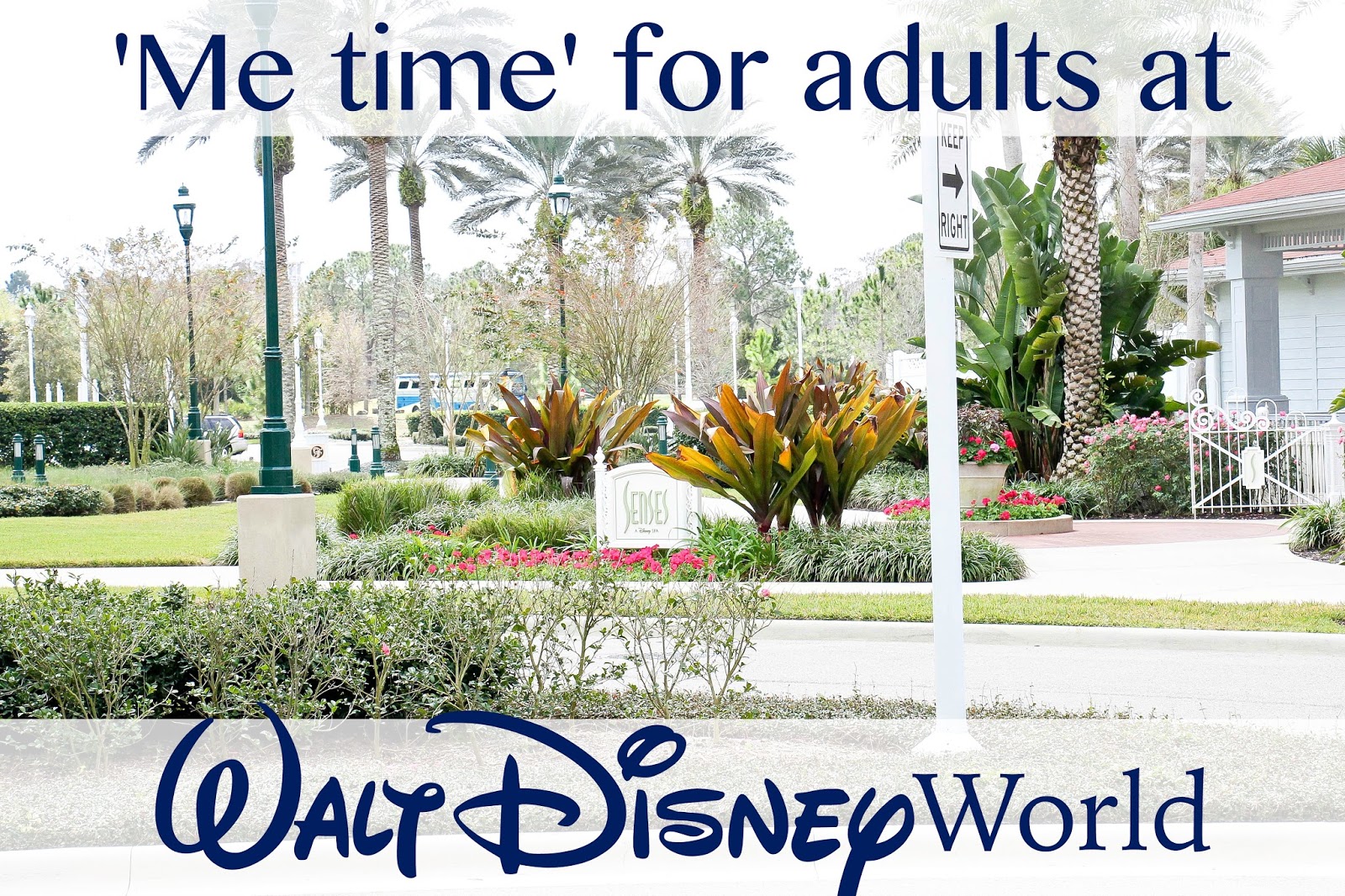 Senses Spa Disney World, Adults at Disney World, Disney World