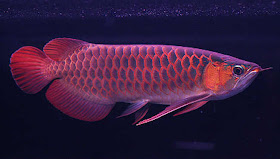 2012-12-30_221425.jpg