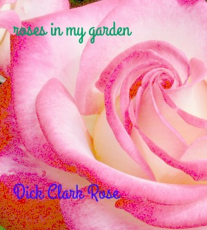 Dick Clark Rose