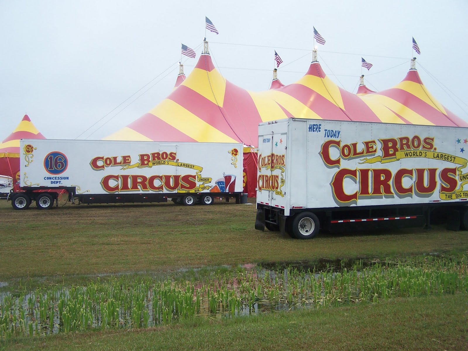 Elvin Ball Cole Bros Circus 105