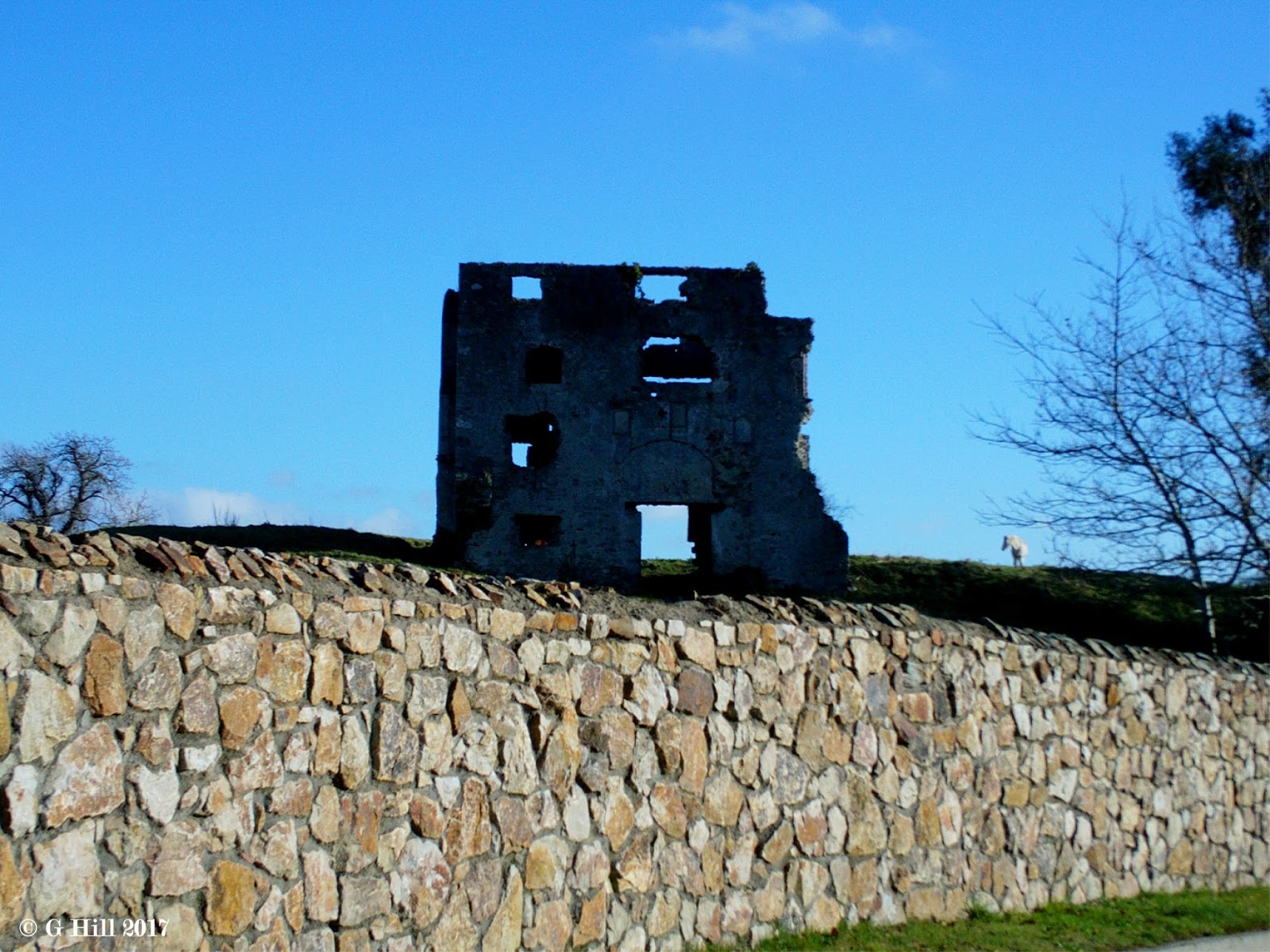 Ireland In Ruins Newcastle Castle Co Wicklow
