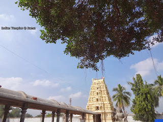 Mahanandi Temple: Mahanandishwara Temple at Nandyal