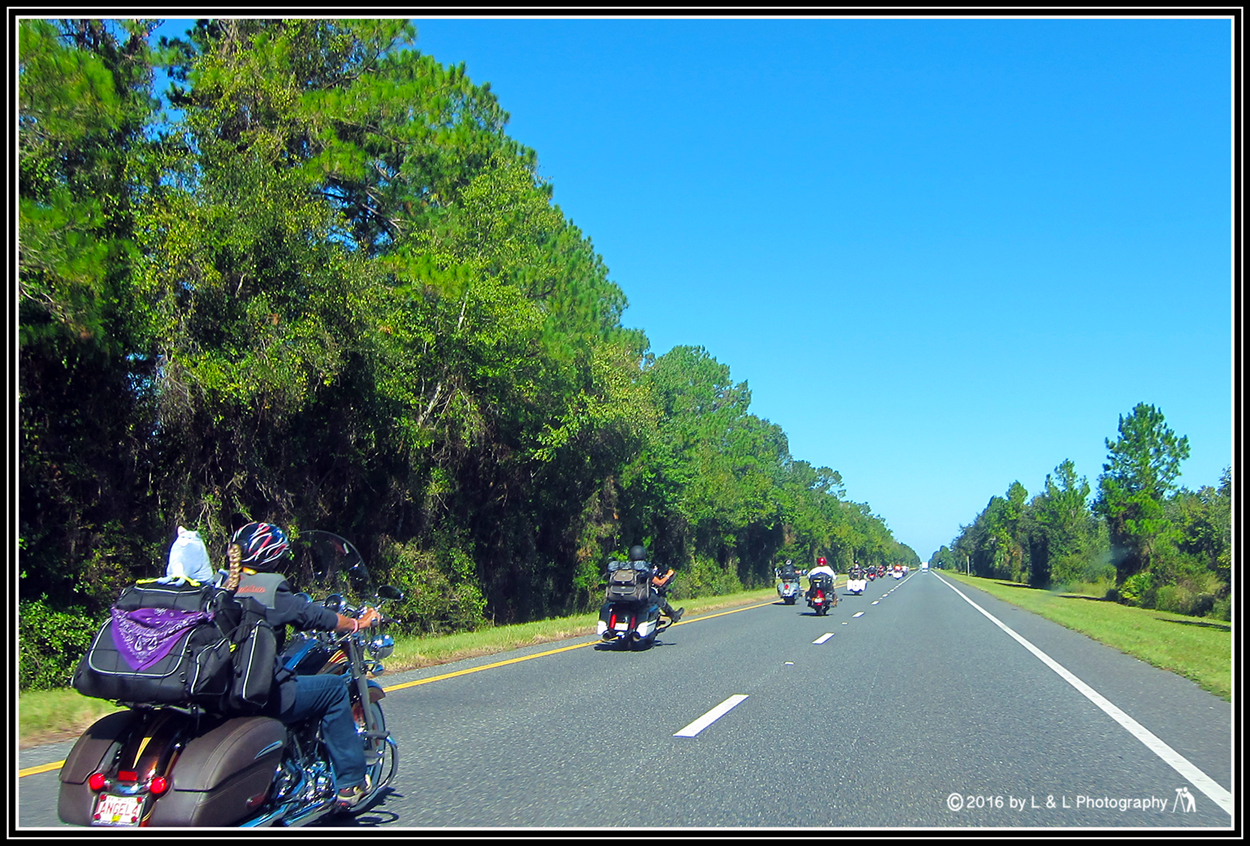 Ocala, Central Florida & Beyond Women Bikers Take Over Cedar Key