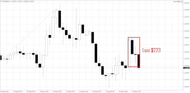 1024 The recovery of the EURUSD stalled at around 1.16.