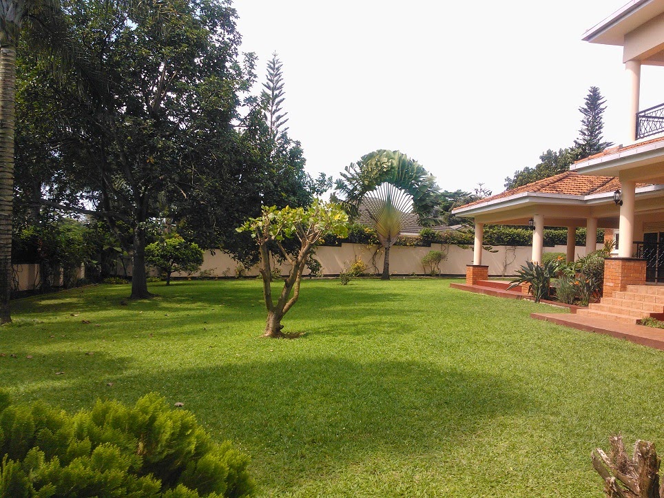 Houses For Rent Kampala Uganda HOUSE FOR RENT NAGURU KAMPALA, UGANDA