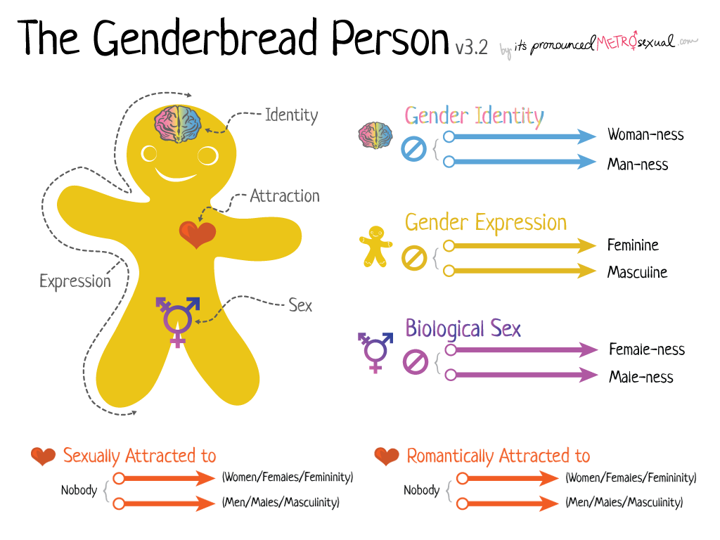 School Counselor Do You Know The Differences Between Gender Identity 