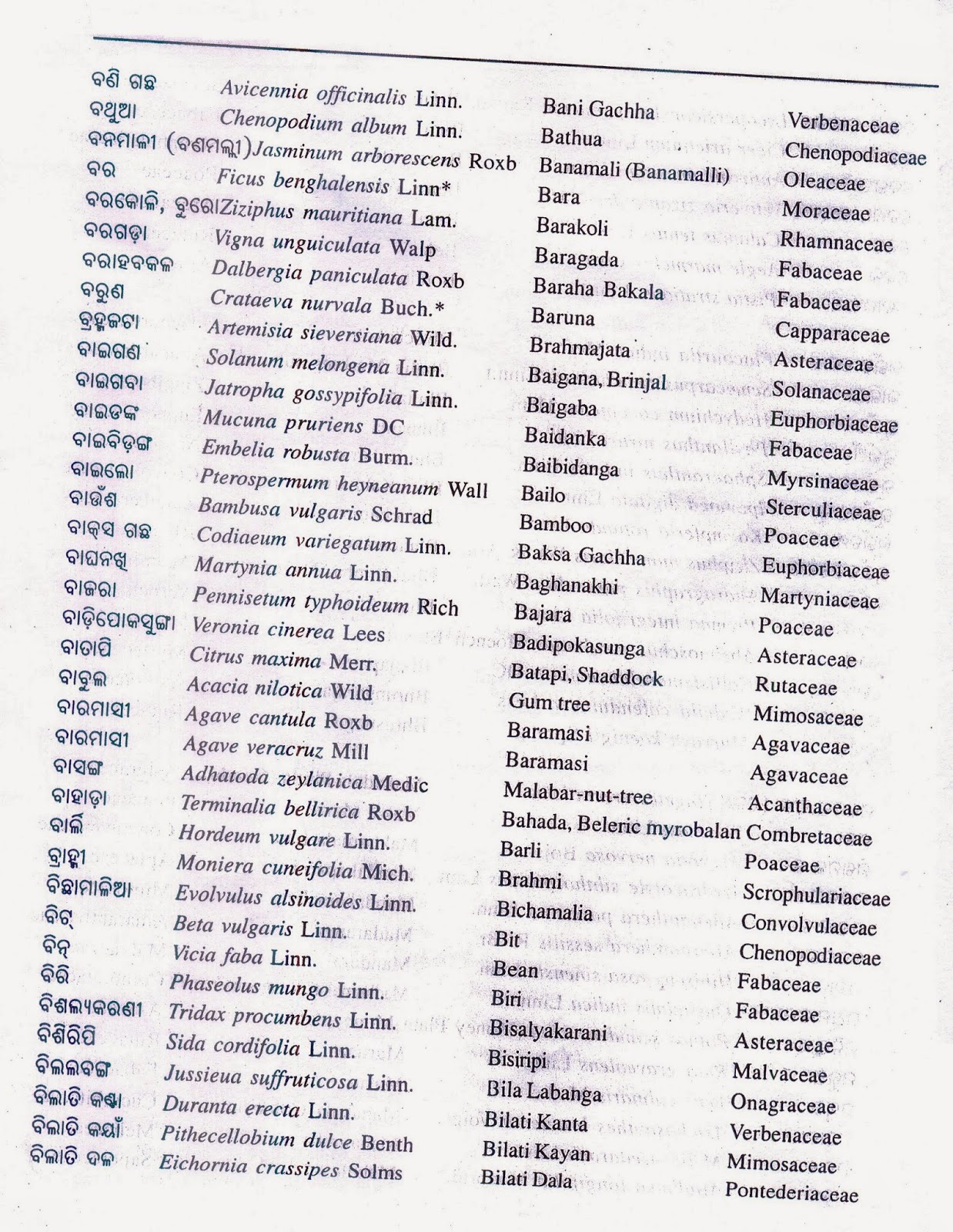 botanical-names-of-common-plants-of-odisha-alphabetical-list-of