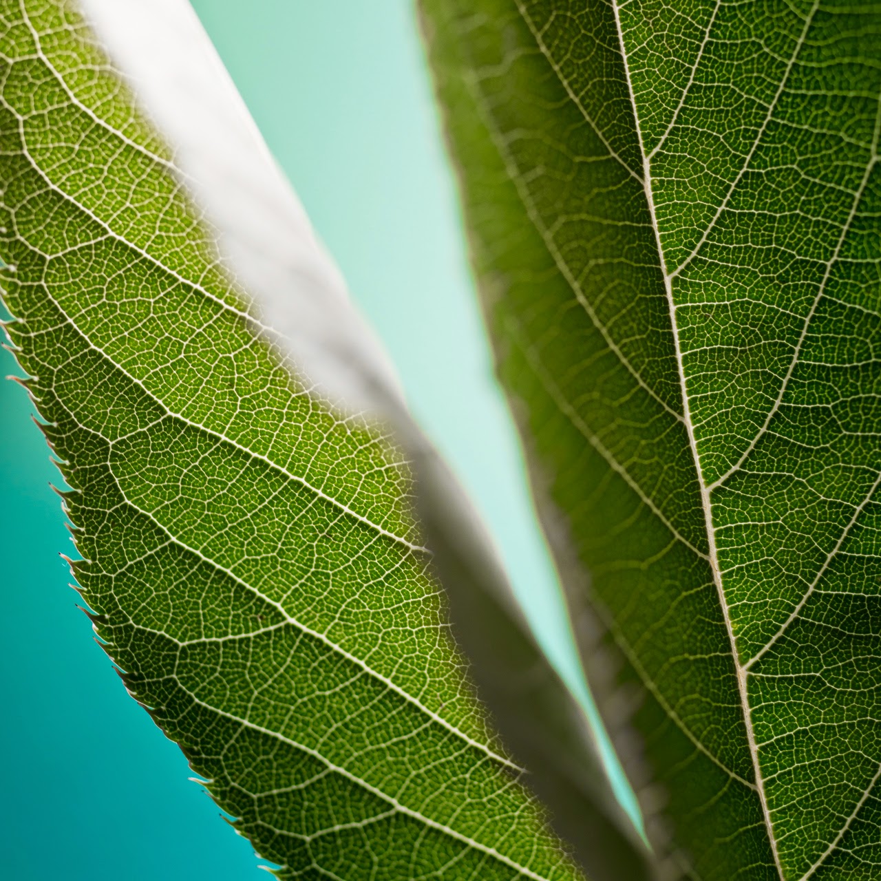 Photography pt.31 ~ Inspiration photography