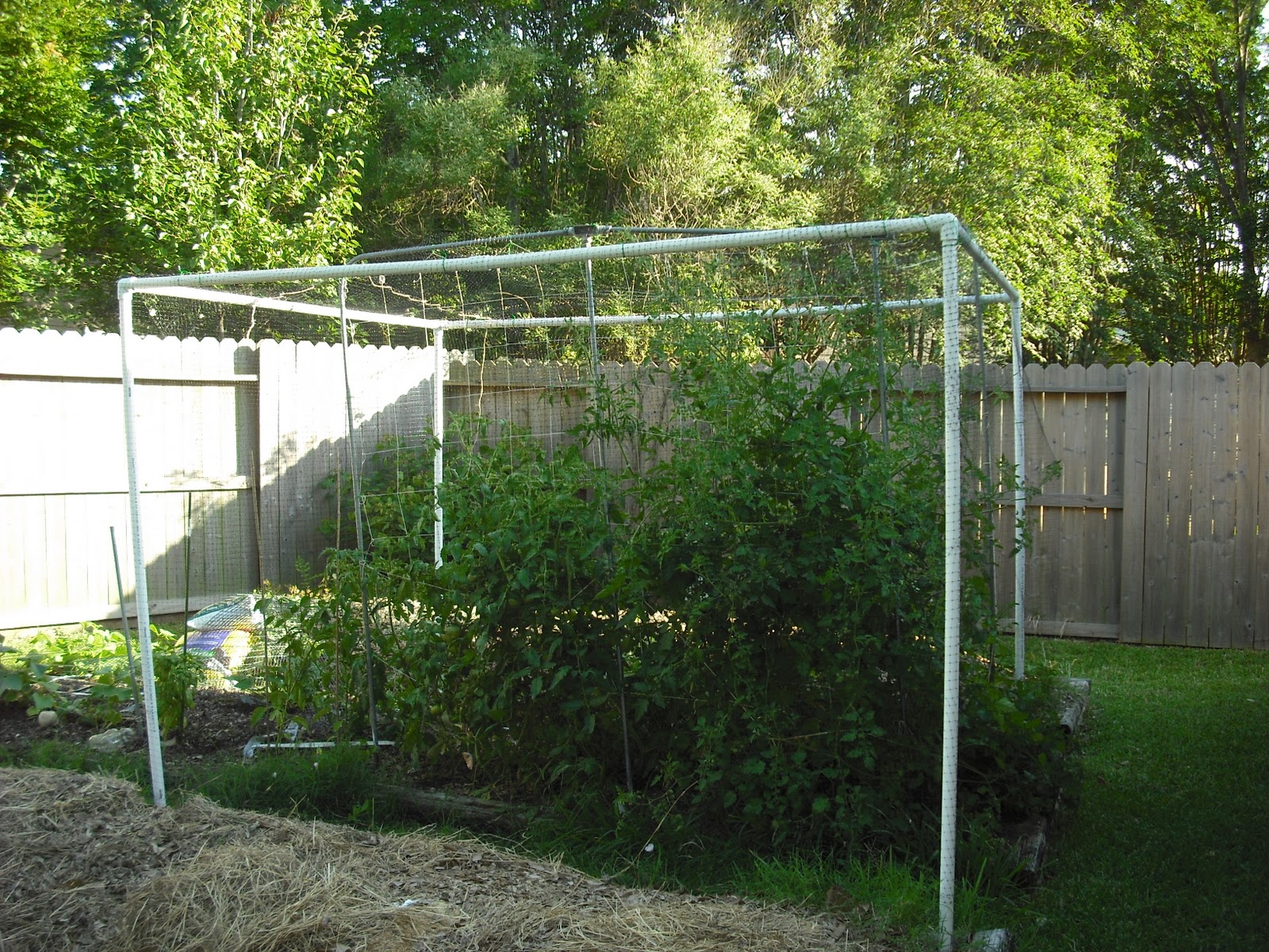 We Do Things Different Here in Texas Beware "Matt or Mike