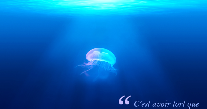 Avoir Raison Trop Tot C Est Avoir Tord Marguerite Yourcenar Le Carnet De Maurine Une Aventure Guidee Par La Curiosite