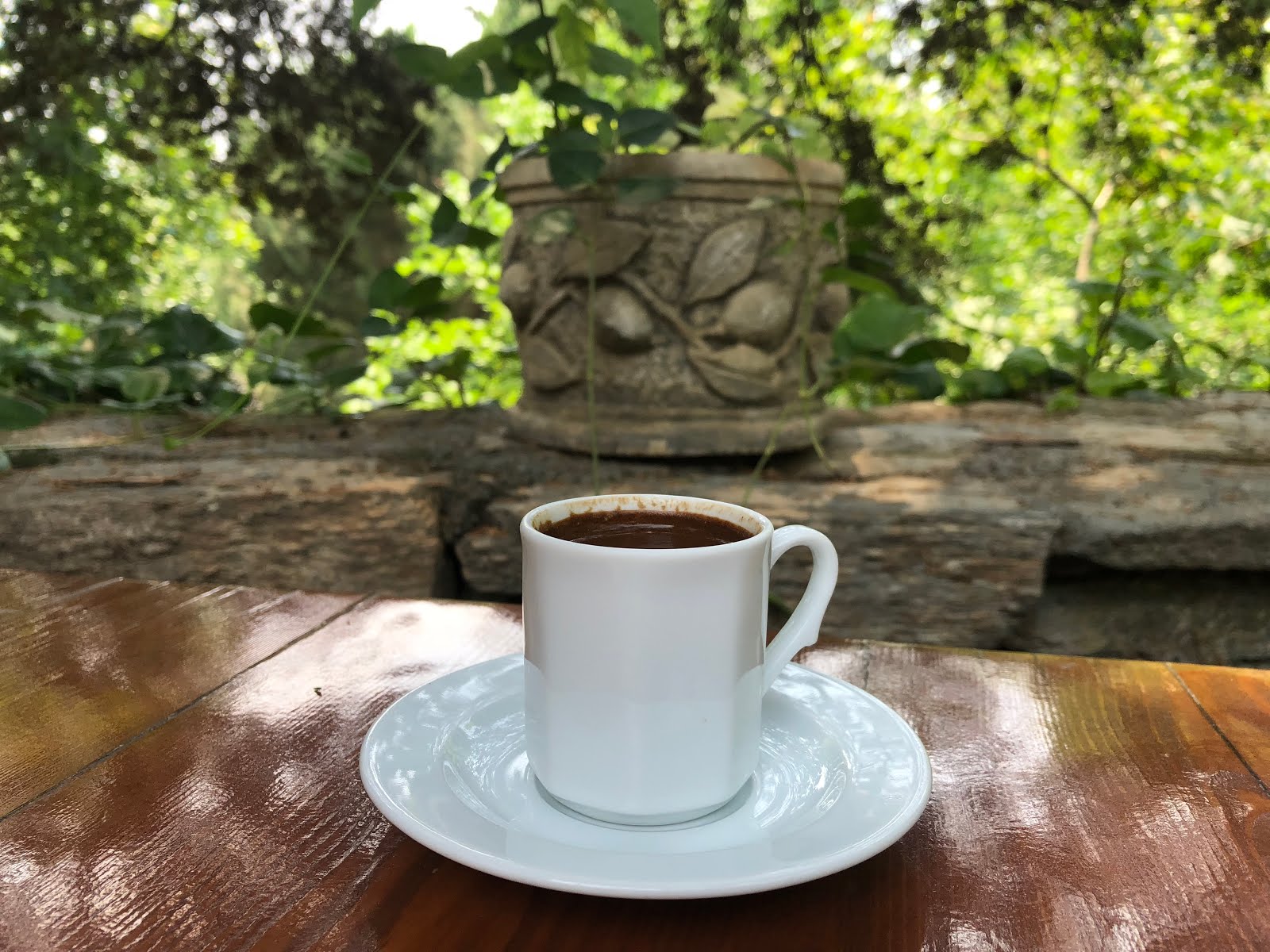 Kahve Bahane 22 Bir Tutam Karınca