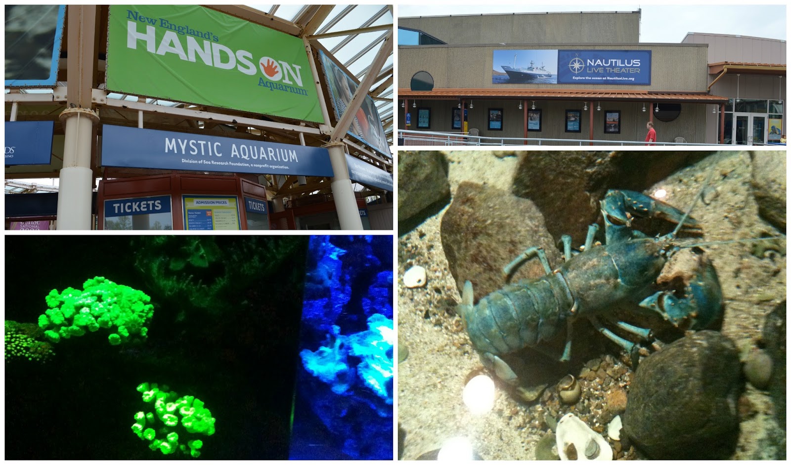 Coupons mystic aquarium ct