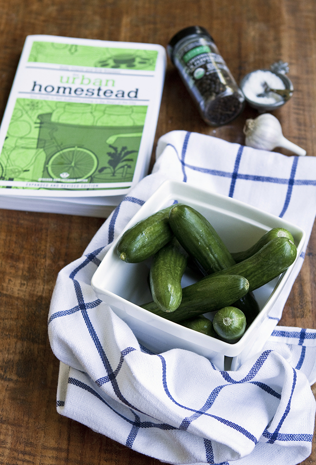 Yummy Supper PICKLE TIME