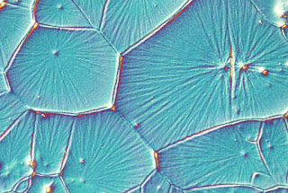 Perovskite Solar Cells See Major Development Perovskite Solar Cells See Major Development