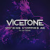 There's Nothing Stopping Vicetone