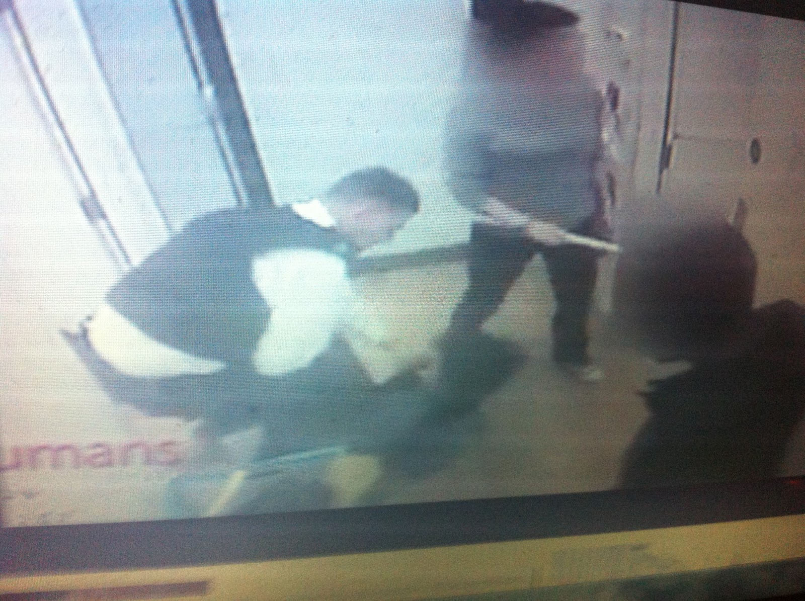 THE BLACK SOCIAL HISTORY:: BLACK SOCIAL HISTORY - AFRO-BRITISH 