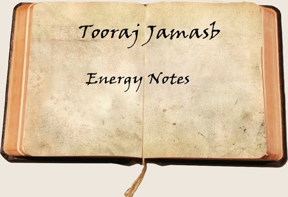 Tooraj Jamasb - Energy Notes