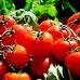 7 side effects of excessive tomato consumption