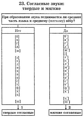 Фонетика русского языка таблица звуков