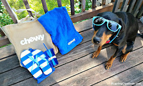 Thank you to our friends at #Chewy for the pawesome summertime goodies! #NationalSunglassesDay #DobermanPuppy #RescueDog #ChewyInfluencer #SummerFun ©LapdogCreations