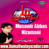 http://ishqehaider.blogspot.com/2013/11/musawir-abbas-nizamani-nohay-2014.html
