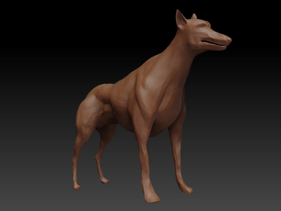 doggie+persp.BMP