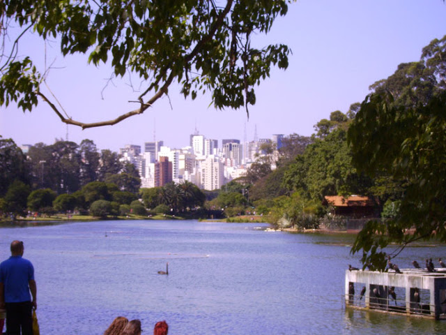 Parque Ibirapuera - São Paulo - Brasil