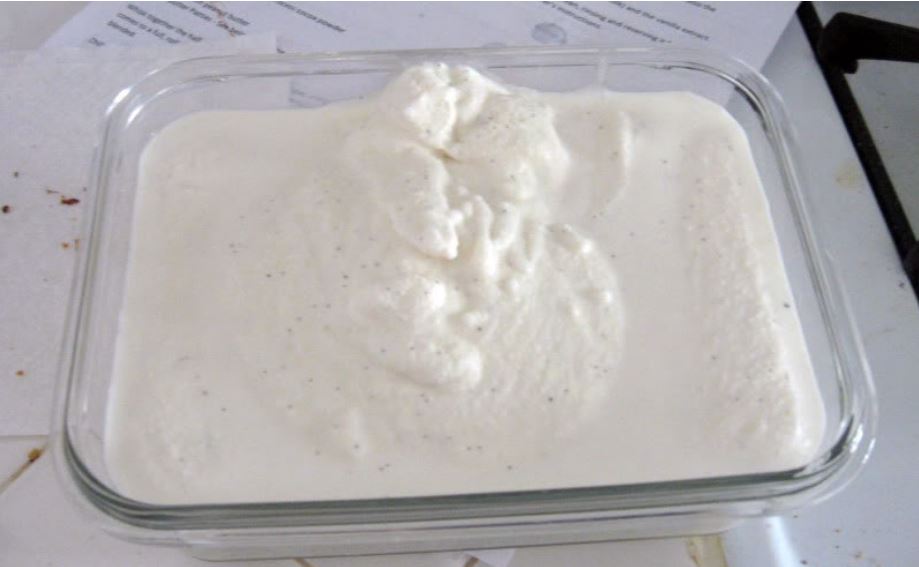 Philadelphia Style Vanilla Bean Ice Cream Fresh from the...