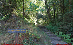 Bridge Creek Falls Trail Head