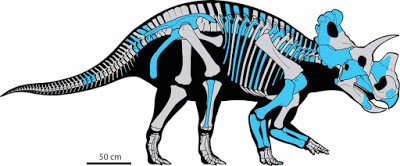 Wendiceratops