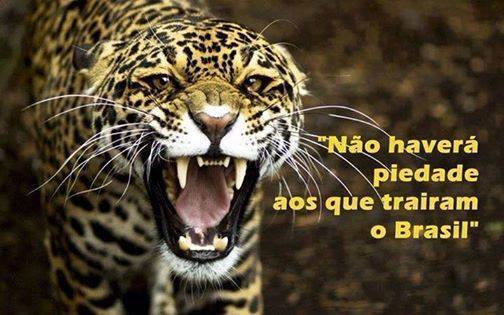 Selva! Aço!