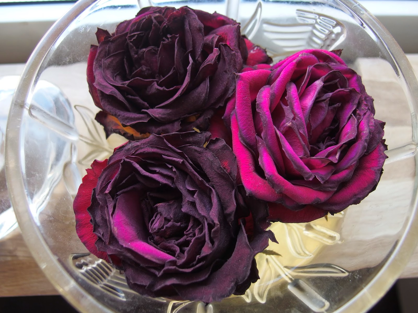 Inget nytt under solen: Även vissna rosor är vackra