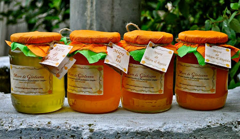 Cumpără miere naturală www.mieredeglodeanu.blogspot.com