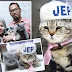 Jep, si kucing selebriti