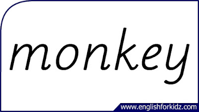 monkey flashcard, single word